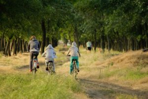 family biking through a field surrounded by forest
